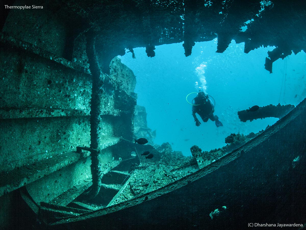 Inside the wreck parts